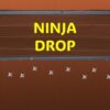ninja drop
